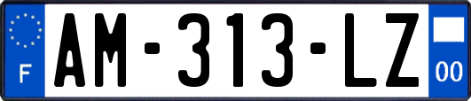 AM-313-LZ