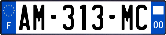 AM-313-MC