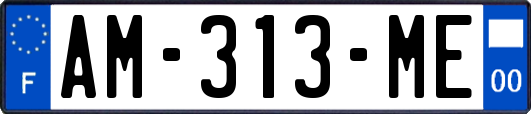 AM-313-ME
