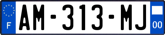 AM-313-MJ
