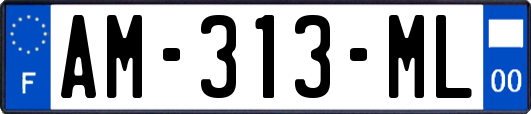 AM-313-ML