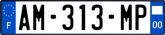 AM-313-MP