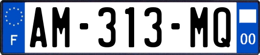 AM-313-MQ