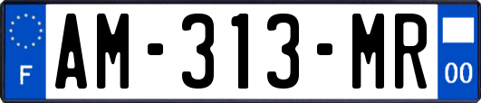 AM-313-MR