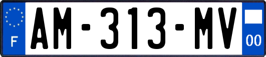 AM-313-MV