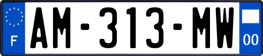 AM-313-MW