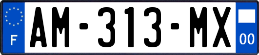 AM-313-MX