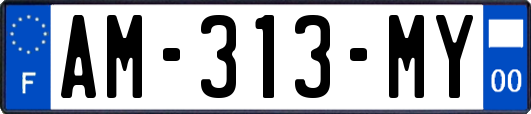 AM-313-MY