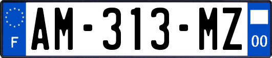 AM-313-MZ