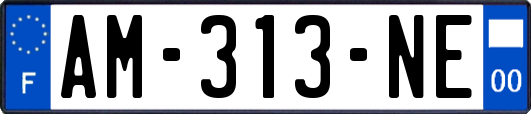 AM-313-NE