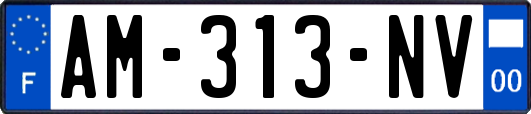 AM-313-NV