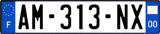 AM-313-NX
