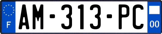 AM-313-PC