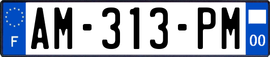 AM-313-PM