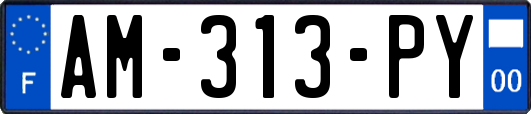 AM-313-PY