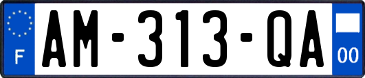 AM-313-QA
