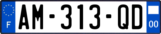 AM-313-QD