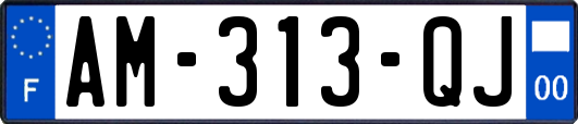 AM-313-QJ