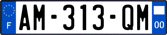 AM-313-QM