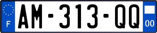 AM-313-QQ