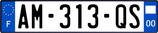 AM-313-QS