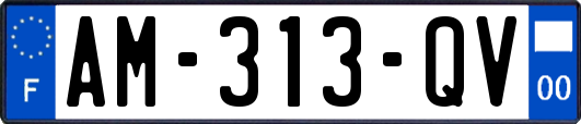 AM-313-QV