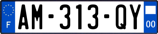 AM-313-QY