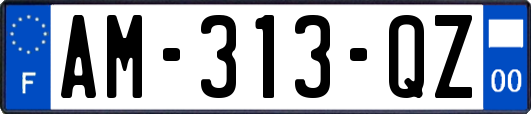 AM-313-QZ