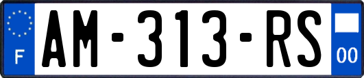 AM-313-RS
