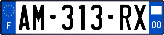 AM-313-RX