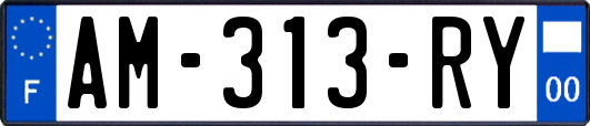 AM-313-RY