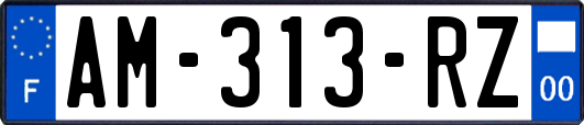 AM-313-RZ