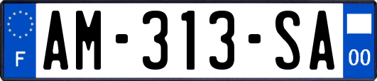 AM-313-SA