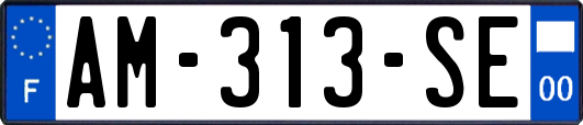 AM-313-SE