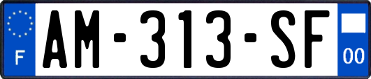 AM-313-SF