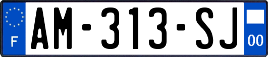 AM-313-SJ