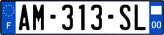 AM-313-SL