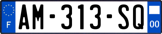 AM-313-SQ