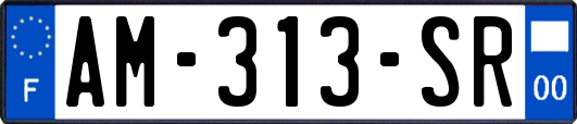 AM-313-SR
