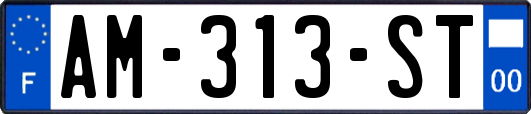 AM-313-ST