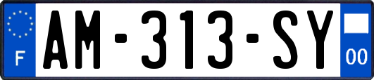 AM-313-SY