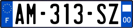 AM-313-SZ