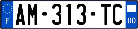 AM-313-TC