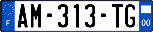 AM-313-TG