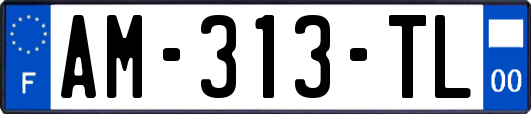 AM-313-TL