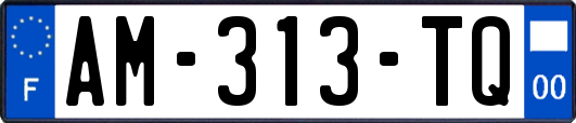 AM-313-TQ