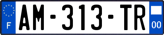AM-313-TR