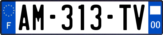 AM-313-TV