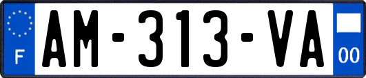 AM-313-VA