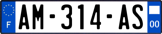 AM-314-AS